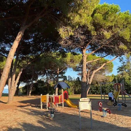 T3 Avec Piscine Et Acces Direct A La Poggio Mezzana
