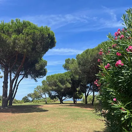 Apartment T3 Avec Piscine Et Acces Direct A La Poggio Mezzana