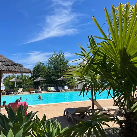 Apartment T3 Avec Piscine Et Acces Direct A La Poggio Mezzana