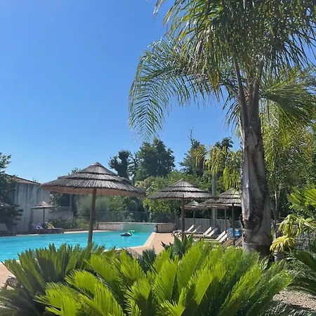 Apartment T3 Avec Piscine Et Acces Direct A La Poggio Mezzana