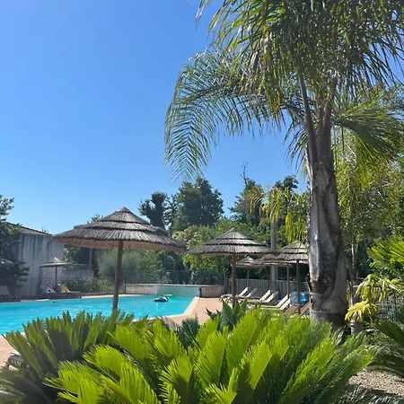 T3 Avec Piscine Et Acces Direct A La Poggio Mezzana